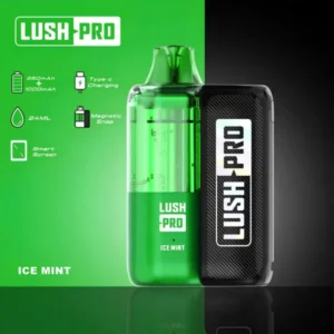 Lush Pro Icy Mint