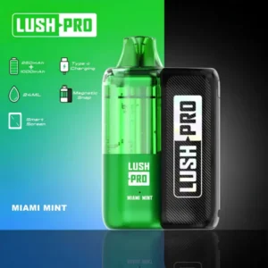 Lush Pro Miami Mint